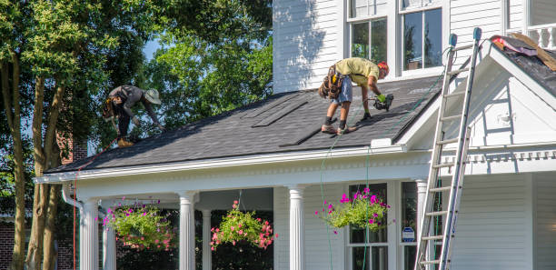 Best Roof Gutter Cleaning  in Fulton, KY